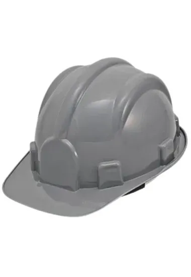 CAPACETE SEG.CINZA C/CARNEIRA