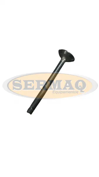 VALVULA DE ESCAPE DO MOTOR DIESEL 2TE *