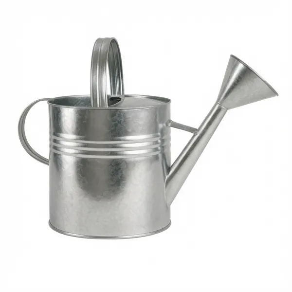 Regador de Água 9 Litros em Aço Galvaniza...