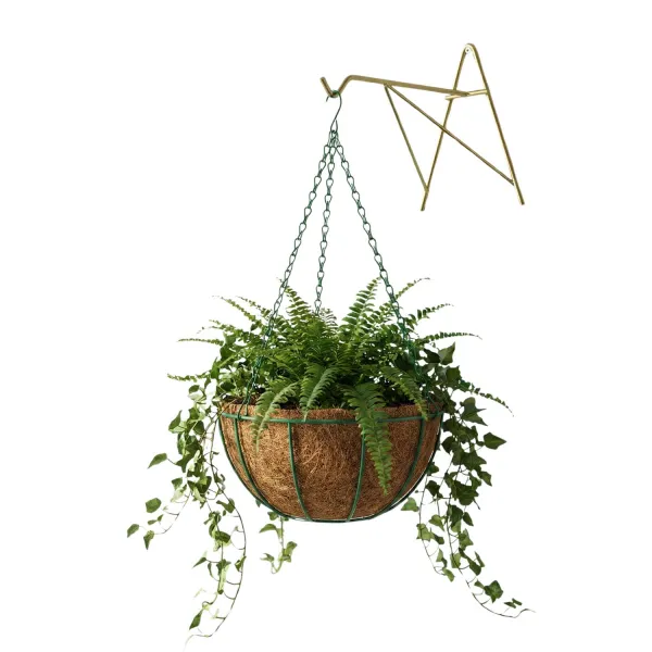 Kit Suporte Parede Dourado 24cm + Vaso Fi...