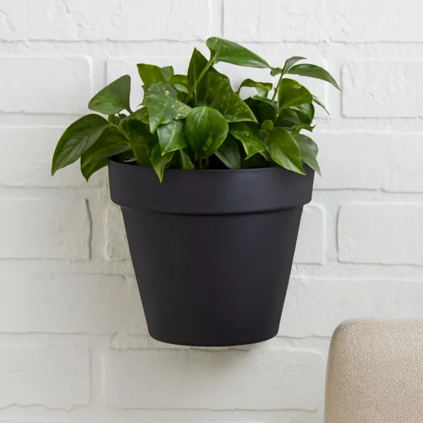 Vaso de Parede Bari 20cm  Floreira Suspen...